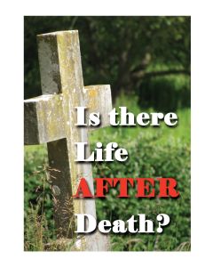 TfT! - Is there Life AFTER Death? - front cover